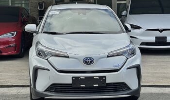 
									Toyota Izo EV completo								